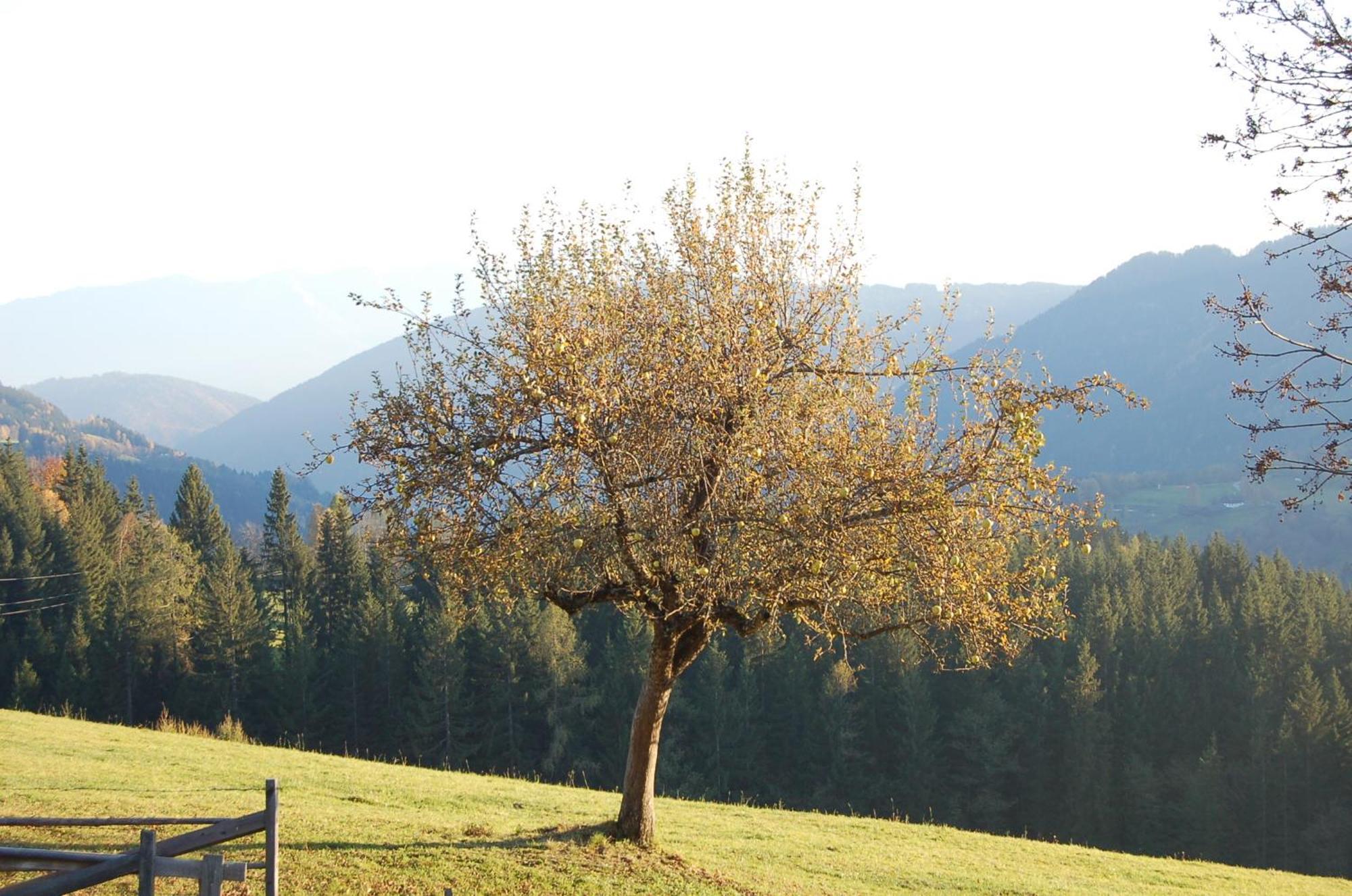Walcherhof Arriach Bagian luar foto