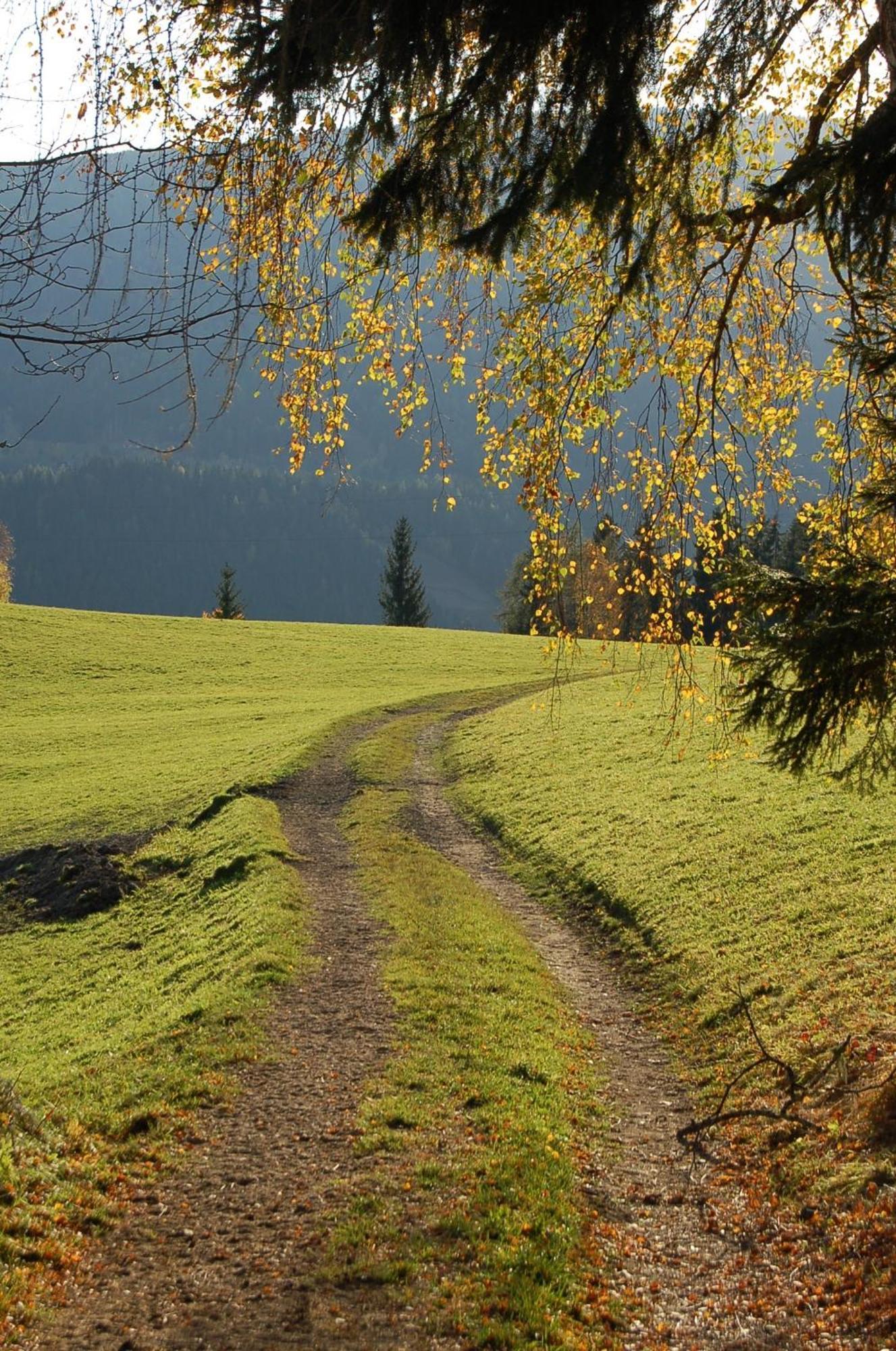 Walcherhof Arriach Bagian luar foto