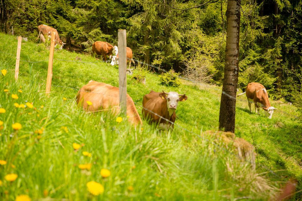 Walcherhof Arriach Bagian luar foto